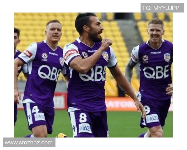 新城堡联队迎战珀斯光荣力争主场胜利展现球队实力