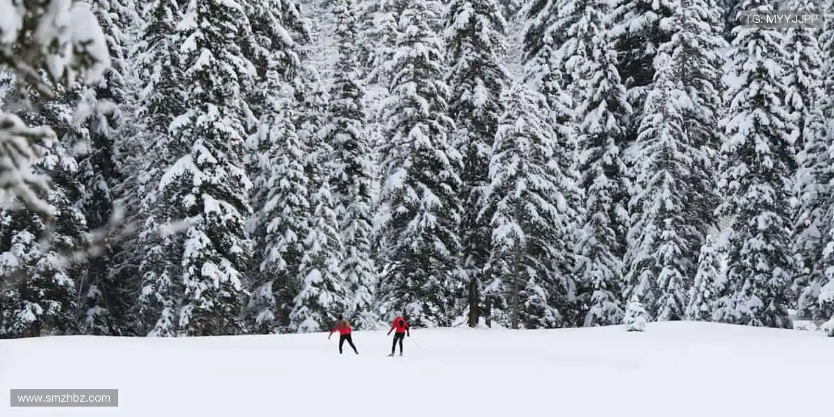 球迷专属，限量发售！🎁